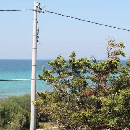 Ines Torre Ovo